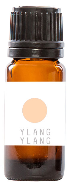 ylang ylang